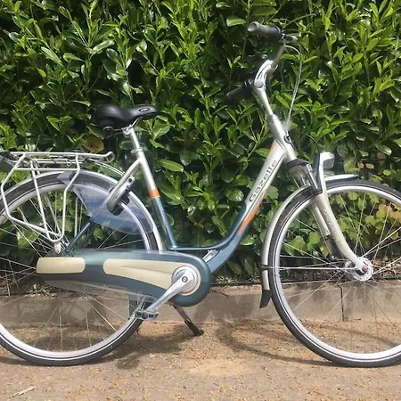 Vakantiehuis Paradise-ruegen Sellin (Rugen)